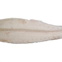 Масляная рыба (филе 4-6кг)